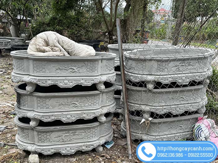 Ang xi măng bầu dục thô không sơn