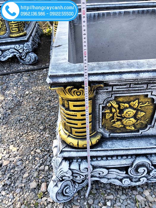 Chiều cao của chậu đo phủ bì