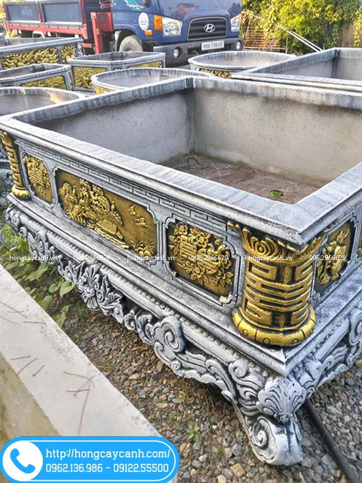 Chậu xi măng kích thước 180x150x80cm phù hợp trồng các cây lâu năm