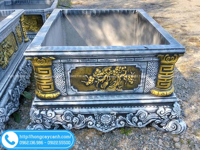 Chậu có thành dày dặn, vững chắc