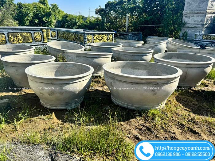 Chậu tròn đường kính 1m