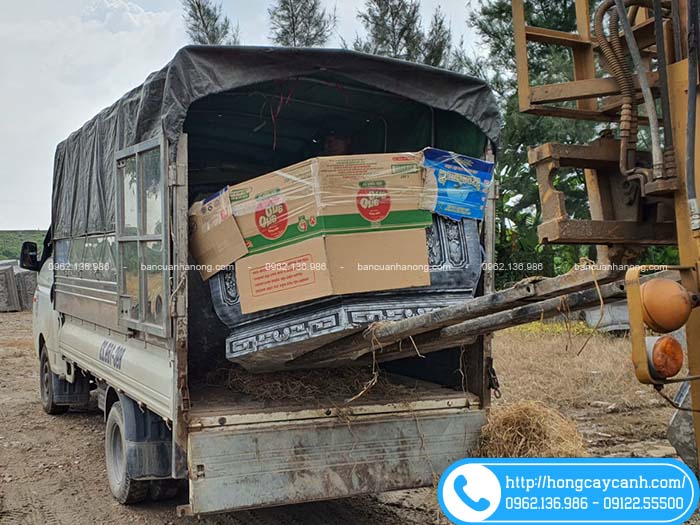 Xưởng giao chậu lục lăng 1m4 đi tỉnh bằng xe ghép