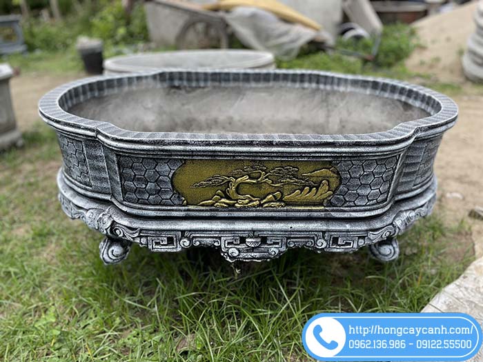 Ang xi măng bầu dục trồng cây đẹp