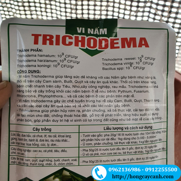Vi nấm trichoderma giúp bảo vệ cây khỏi bị nấm và phân hủy rơm rạ