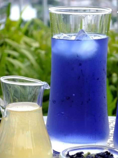 Nước uống hoa đậu biếc