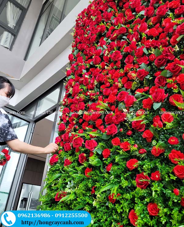 Thi công tường hoa hồng đỏ tại Hà Nội và các tỉnh